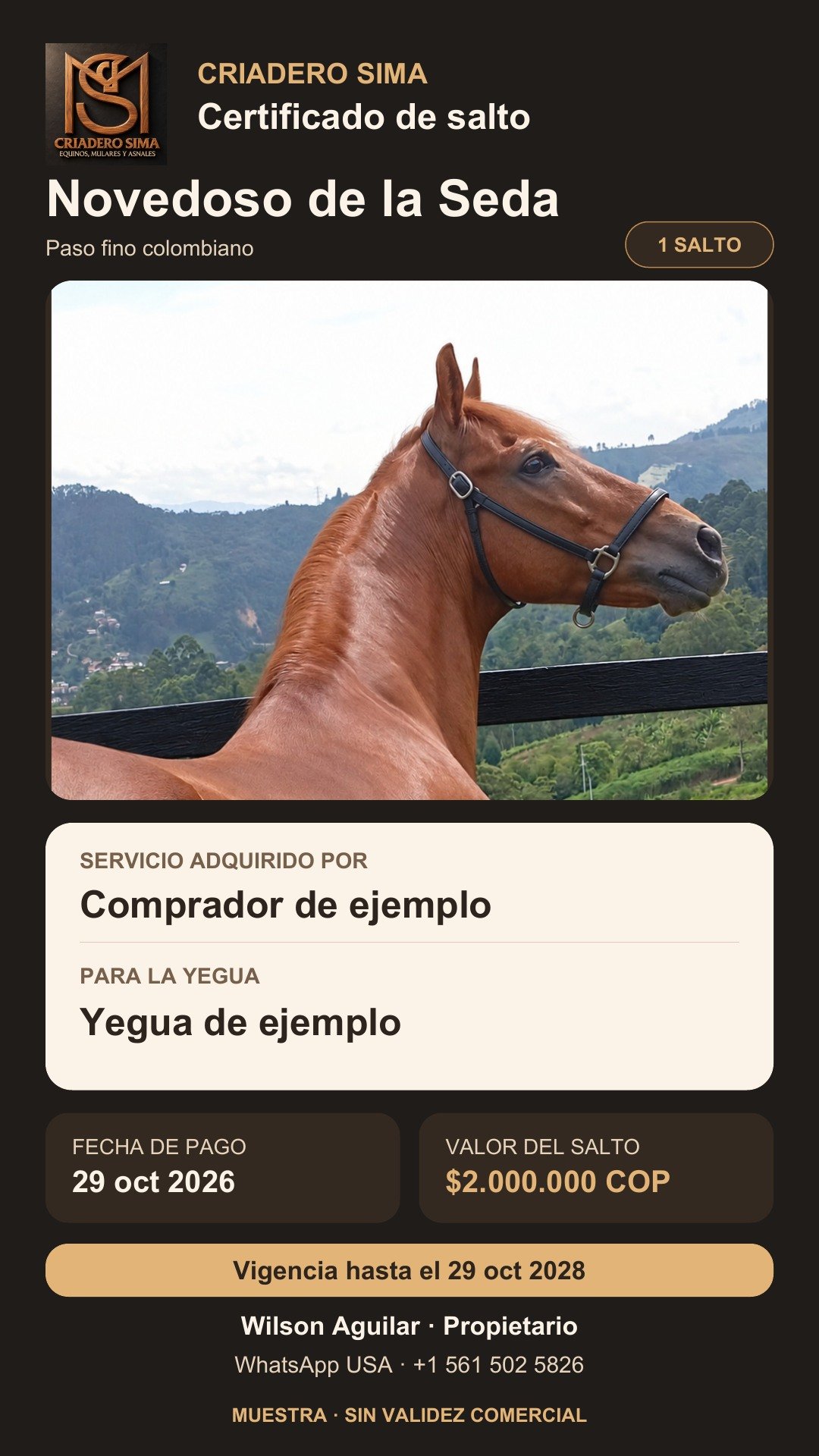 Muestra del diseño del certificado, sin validez comercial