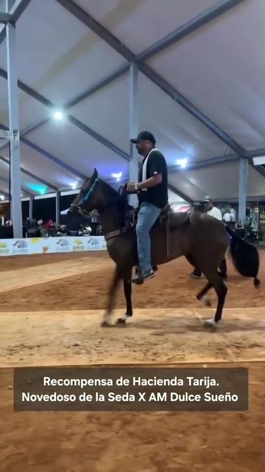 Recompensa de Hacienda Tarija · Descendencia de Novedoso de la Seda