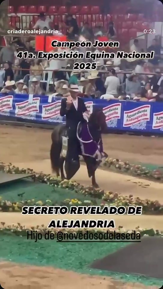 Secreto Revelado de Alejandría · Descendencia de Novedoso de la Seda