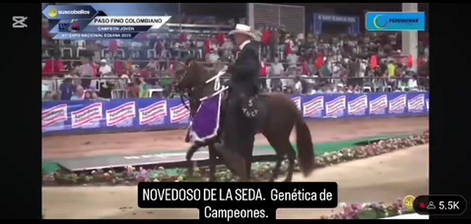 Secreto Revelado de Alejandría · Descendencia de Novedoso de la Seda