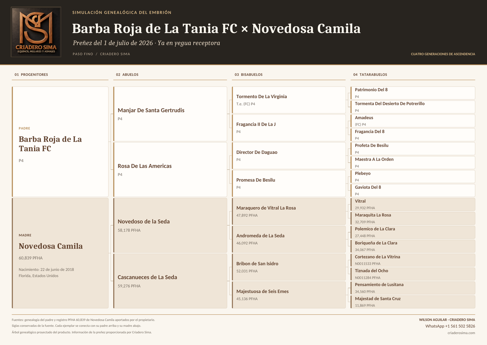 Pedigree simulation · 4 generations: Barba Roja de La Tania FC × Novedosa Camila
